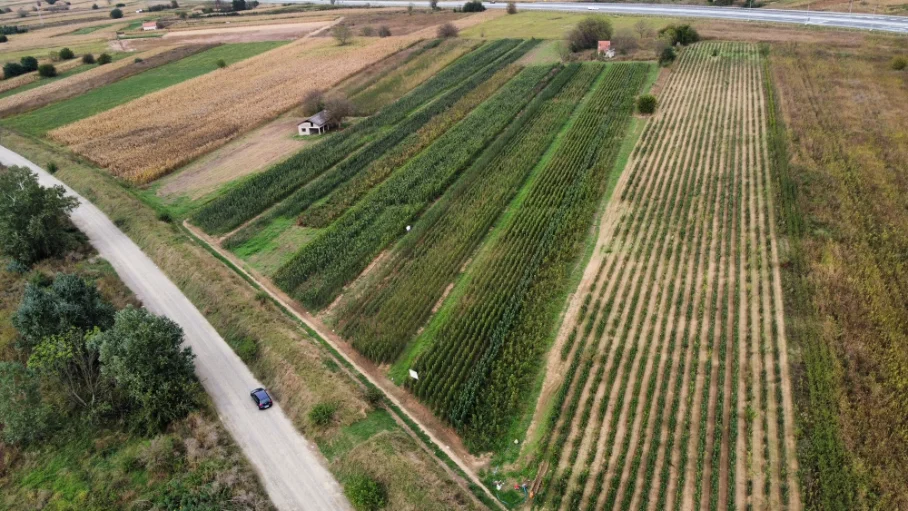 Sadnice Smiljkovic aerial view - fruit plant nursery (1)