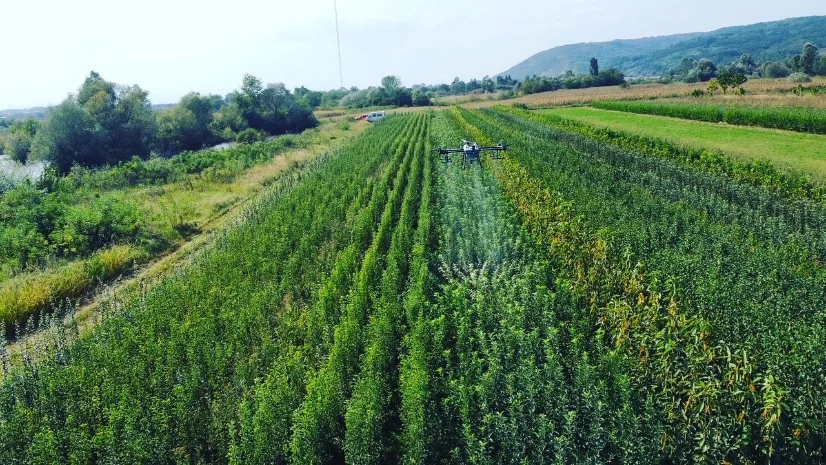Sadnice Smiljkovic aerial view - fruit plant nursery (3)