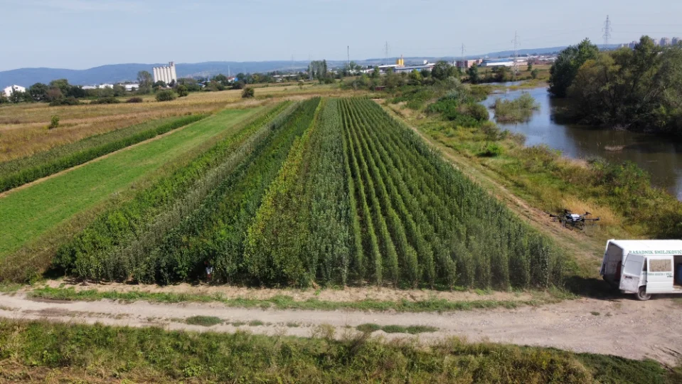 Sadnice Smiljkovic aerial view - fruit plant nursery (4)