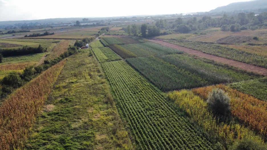 Sadnice Smiljkovic aerial view - fruit plant nursery (5)